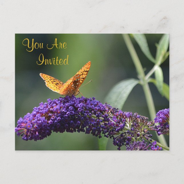 Butterfly On Flower Invitation Postcard (Front)