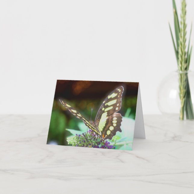Butterfly On Flower Nature Photography  Note Card (Front)