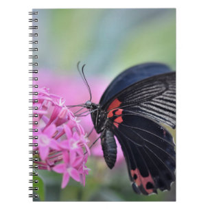 Butterfly on flower notebook