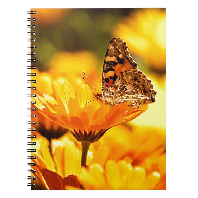 Butterfly on flower notebook (Front)