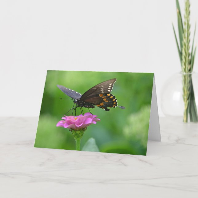 Butterfly On Flower Notecard (Front)