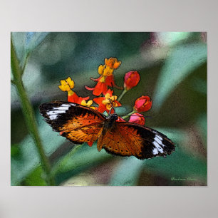 Butterfly on flower poster