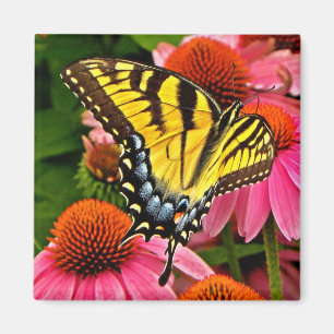 Butterfly on Flower v22 Magnet