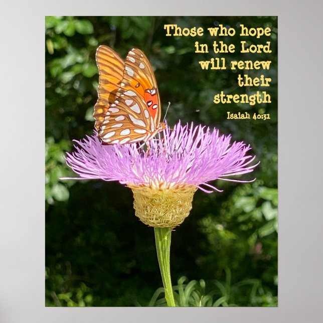 Butterfly on Flower w Verse from Isaiah 40:31 Poster (Front)