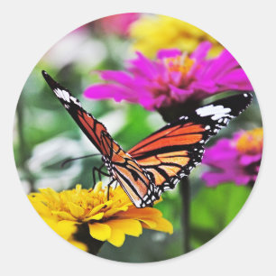 Butterfly on Flowers #2 Classic Round Sticker