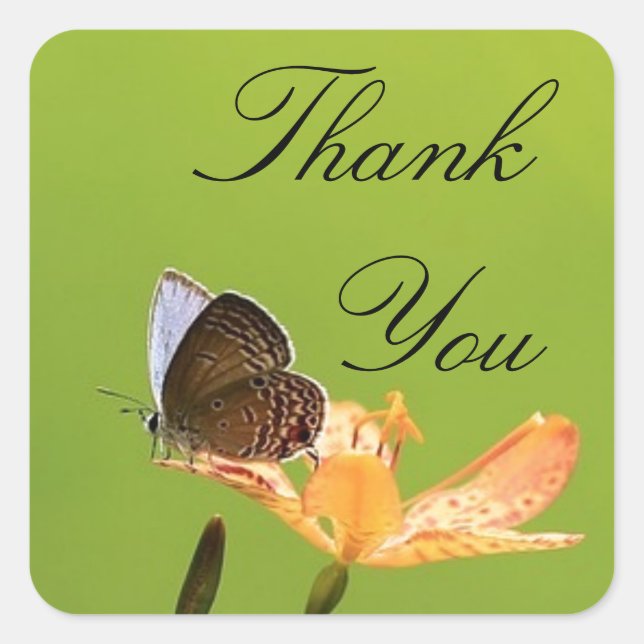 Butterfly on Green Thank You Square Sticker (Front)