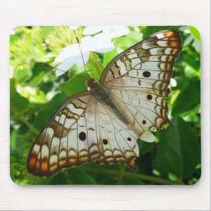Butterfly on Jasmine Tropical Nature Photography Mouse Mat