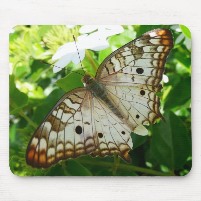 Butterfly on Jasmine Tropical Nature Photography Mouse Mat (Front)