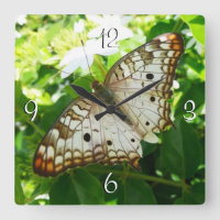 Butterfly on Jasmine Tropical Nature Photography