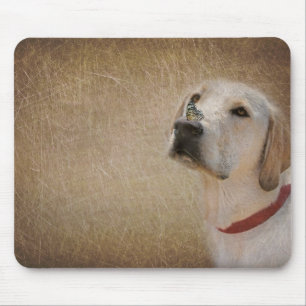butterfly on Labrador's nose Mouse Mat