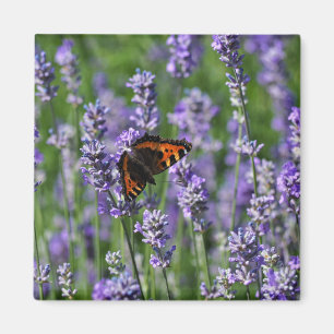 Butterfly on Lavender Fridge Magnet