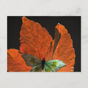 Butterfly on leaf 2 postcard
