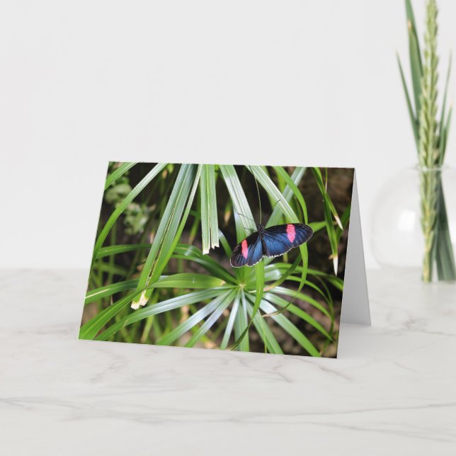 Butterfly on Leaf Card (Front)