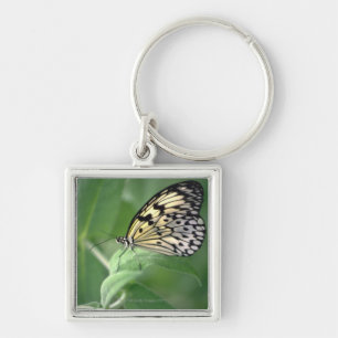 Butterfly on leaf key ring