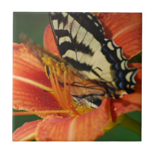 Butterfly on Lily Tile