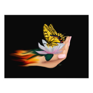 Butterfly on Lotus Bloom Photo Print