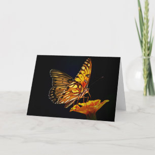 Butterfly On Marigold Scripture Card Isaiah 26:3