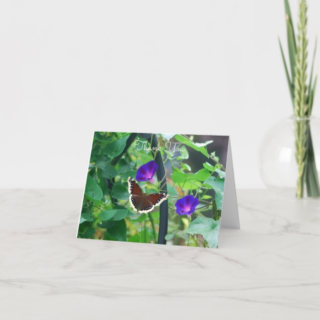 Butterfly on Morning Glory Flowers Card (Front)