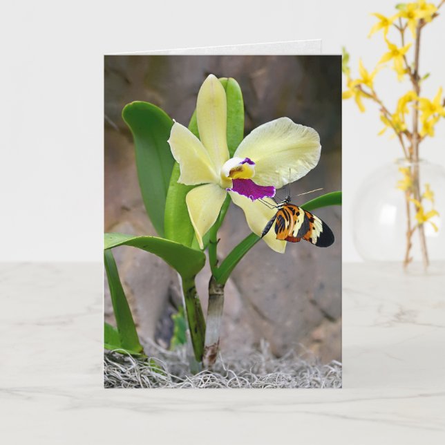 Butterfly On Orchid Blossom Card (Yellow Flower)