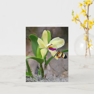 Butterfly On Orchid Blossom Notecard