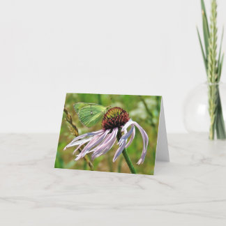 Butterfly on Pale-Purple Coneflower Note Card