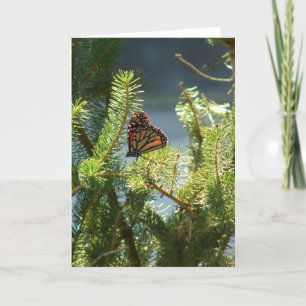 Butterfly on Pine Tree Card