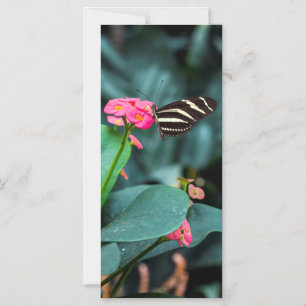 Butterfly on Pink Flower Photography Magnetic Invitation
