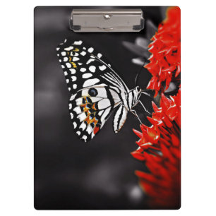 Butterfly on Red Flowers Clipboard