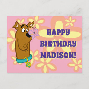 Butterfly On Scooby-Doo's Nose Postcard