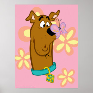 Butterfly On Scooby-Doo's Nose Poster