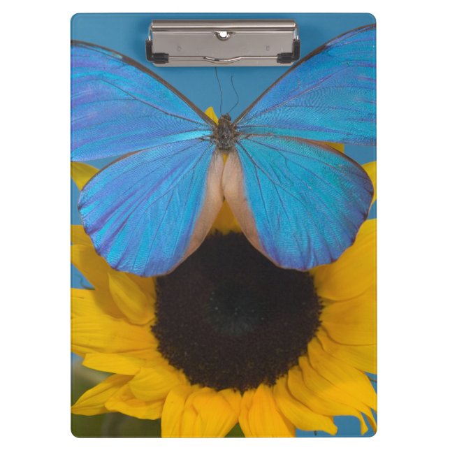 Butterfly on Sunflower Clipboard (Front)