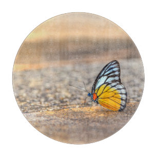 Butterfly on The Beach Cutting Board