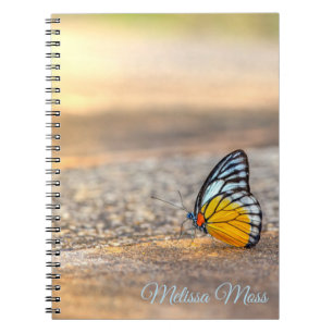 Butterfly on The Beach *Personalise* Notebook