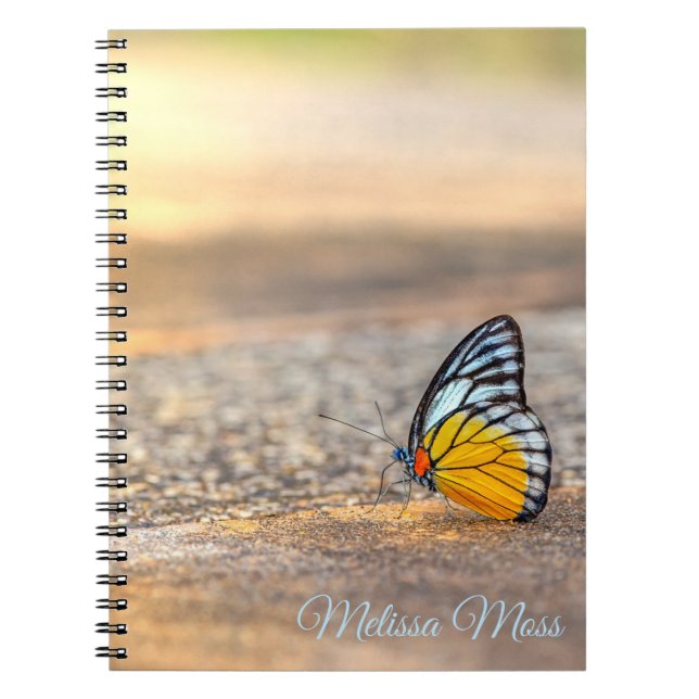 Butterfly on The Beach *Personalise* Notebook (Front)