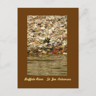 Butterfly on the Buffalo Postcard