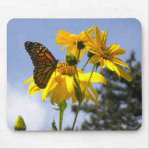 Butterfly on the Sunflower mouse pad