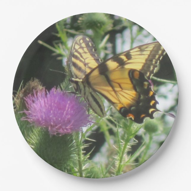 Butterfly On Thistle Paper Plate (Front)
