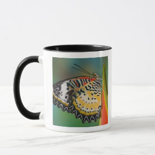 Butterfly on Tropical Flower Mug