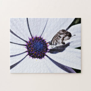 Butterfly on White Daisy Challenging Jigsaw Puzzle