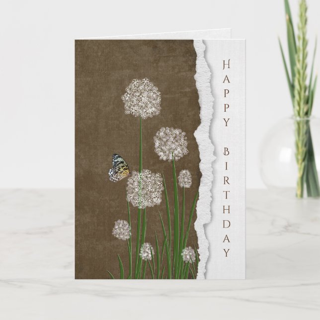 butterfly on white puff flower card (Front)