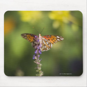 Butterfly on wildflowers mouse mat
