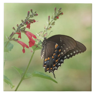 Butterfly on Wildflowers Tile