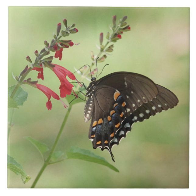 Butterfly on Wildflowers Tile (Front)