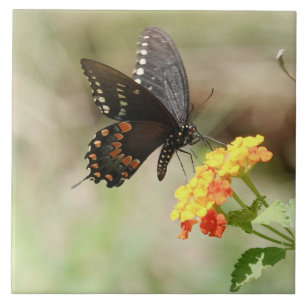 Butterfly on Wildflowers Tile