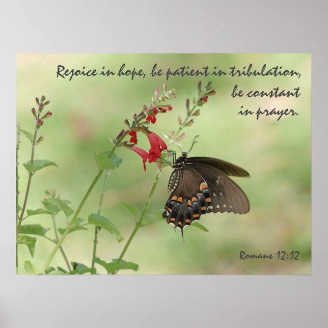 Butterfly on Wildflowers, Verse Romans 12:12  Poster (Front)