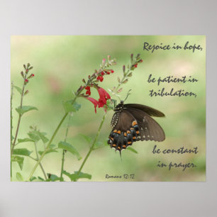 Butterfly on Wildflowers, Verse Romans 12:12 Poster