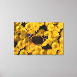 Butterfly on yellow asters canvas print