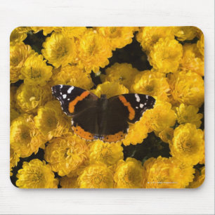 Butterfly on yellow asters mouse mat