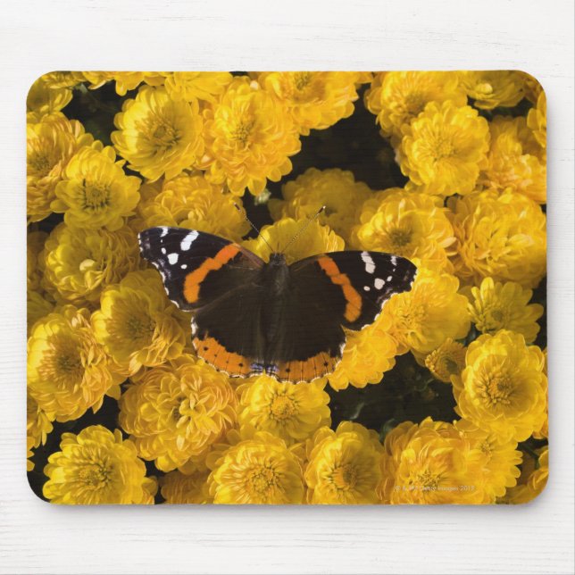 Butterfly on yellow asters mouse mat (Front)
