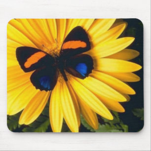 Butterfly on Yellow Daisy Mouse Mat